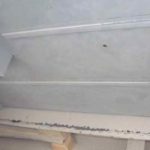 Cforcar Facel Vega Restoration 1 774
